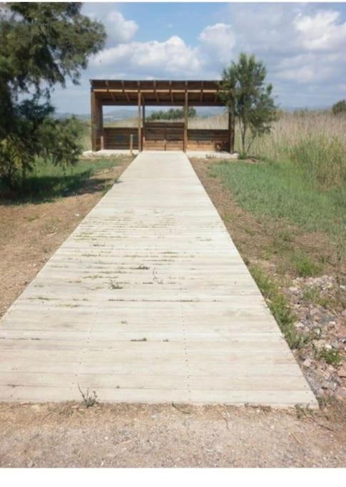 Apartamento Junto Al Mar Con Wifi Y Piscina Sagunt Exterior foto